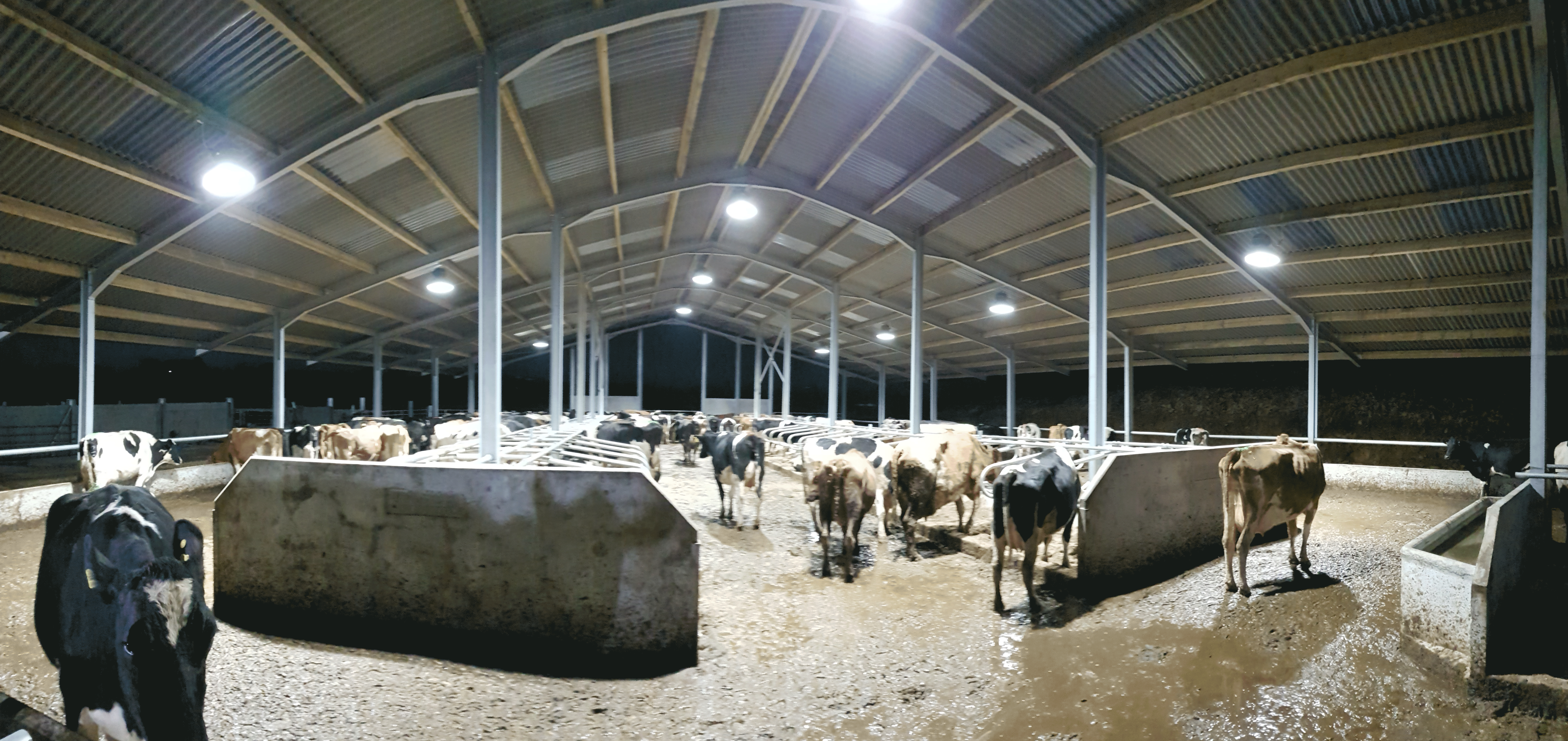 Cubicle Shed Lighting